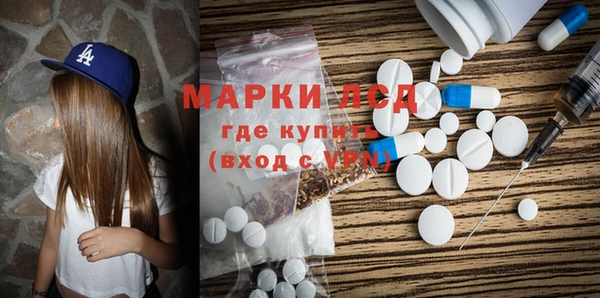 ПСИЛОЦИБИНОВЫЕ ГРИБЫ Верея