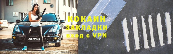 ПСИЛОЦИБИНОВЫЕ ГРИБЫ Верея