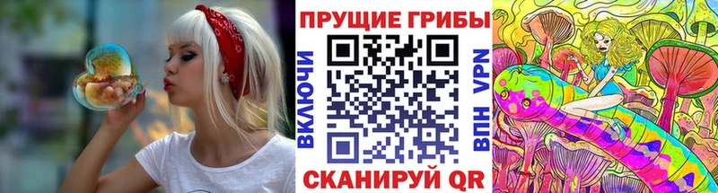 Псилоцибиновые грибы Cubensis  Купить где  Лесозаводск 